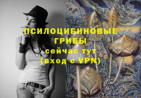 дурь Арсеньев