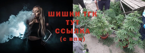 дурь Арсеньев